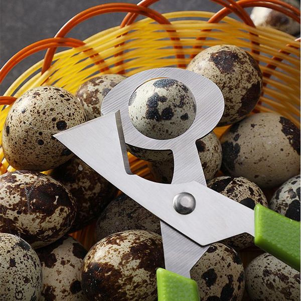 1 3pcs pigeon quail egg scissor stainless steel clipper accessories portable egg slicers bird cutter opener gadgets kitchen tool wmtbxk
1 3pcs pigeon quail egg scissor stainless steel clipper accessories portable egg slicers bird cutter opener gadgets kitchen tool wmtbxk