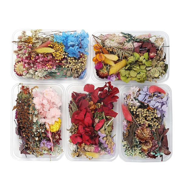 1box random mix style dried flowers decoration natural floral sticker beauty nail art decals epoxy mold diy filling jewelry h sqcrfa
1box random mix style dried flowers decoration natural floral sticker beauty nail art decals epoxy mold diy filling jewelry h sqcrfa