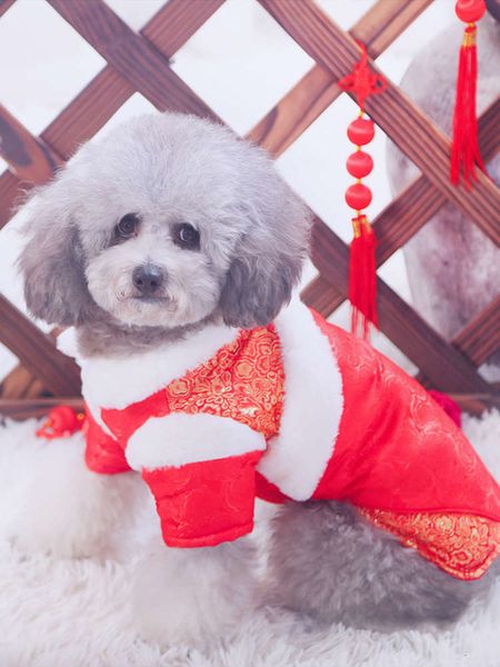 dog autumn and tang teddy chenery warm thickening ftive new year pet winter clothing
dog autumn and tang teddy chenery warm thickening ftive new year pet winter clothing