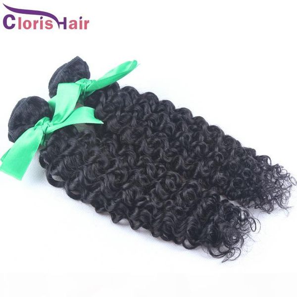 jerry curls human hair weave 2pcs raw indian virgin kinky curly hair weft full bundles curly indian human hair extensions deals salon grade, Black
jerry curls human hair weave 2pcs raw indian virgin kinky curly hair weft full bundles curly indian human hair extensions deals salon grade, Black