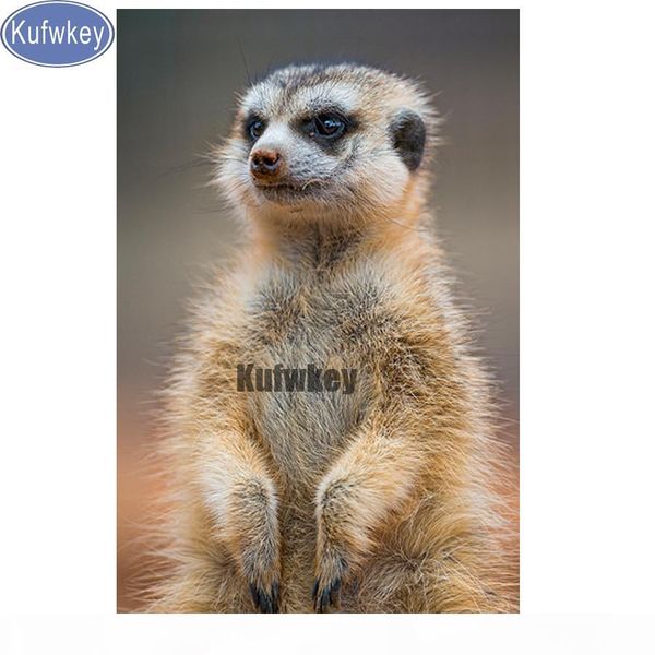meerkat картина алмазных мозаик, 5d поделки алмаза картины полного квадрата сверла, вышивок креста, картины горного хрусталя вышивки животны
meerkat картина алмазных мозаик, 5d поделки алмаза картины полного квадрата сверла, вышивок креста, картины горного хрусталя вышивки животны