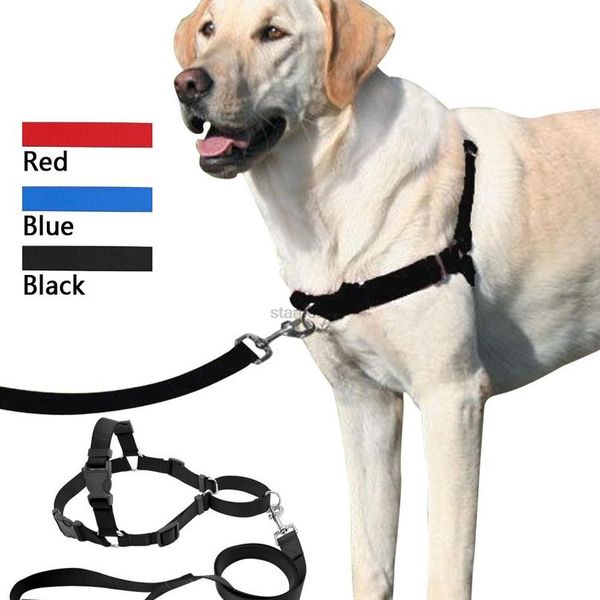 pet no-pull nylon dog harness with leash training harness spulling on lead small medi bbyvqt
pet no-pull nylon dog harness with leash training harness spulling on lead small medi bbyvqt