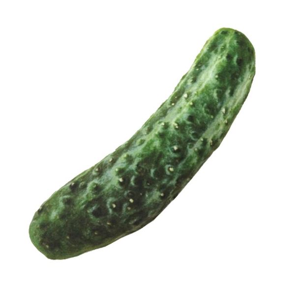 funny simulation pet dog toys for small dogs bite resistant squeaky puppy cat toy chew dogs toys pets products honden speelgoed bbymdg
funny simulation pet dog toys for small dogs bite resistant squeaky puppy cat toy chew dogs toys pets products honden speelgoed bbymdg