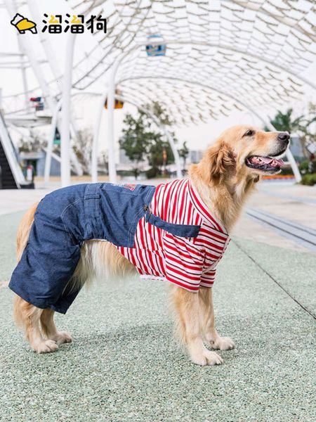 striped four legged cotton padded big cloth labrador alaska samoye autumn and winter clothing thickened dog pet
striped four legged cotton padded big cloth labrador alaska samoye autumn and winter clothing thickened dog pet