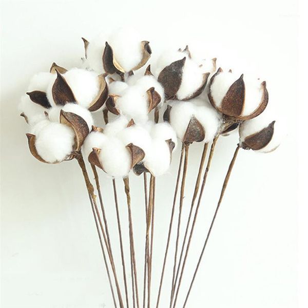 10pcs/lot diy naturally dried cotton stems farm house decorative dried artificial white cotton branch artificial flower head1
10pcs/lot diy naturally dried cotton stems farm house decorative dried artificial white cotton branch artificial flower head1