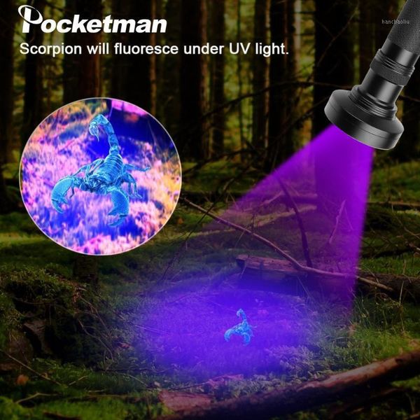 flashlights torches uv purple light torch100led 51led 21led 12led led 395-400nm torch lamp safety detection1
flashlights torches uv purple light torch100led 51led 21led 12led led 395-400nm torch lamp safety detection1