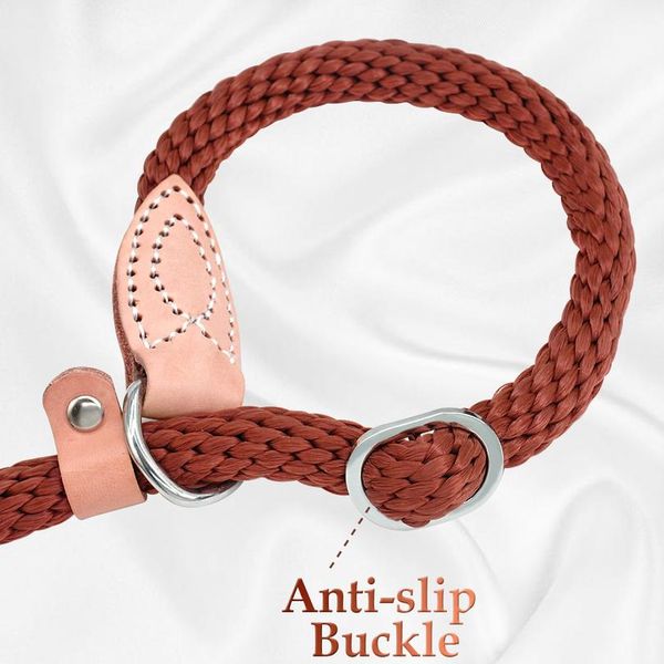 nylon dog leash pet puppy collar leashes adjustable dog walking running traction rope training belt for small medium la sqcihw
nylon dog leash pet puppy collar leashes adjustable dog walking running traction rope training belt for small medium la sqcihw
