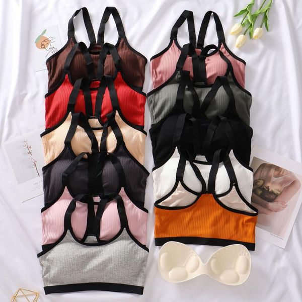 3pieces/lot women tube sports crop seamless underwear wireless fitness lingerie female padded camisole, Black;white
3pieces/lot women tube sports crop seamless underwear wireless fitness lingerie female padded camisole, Black;white