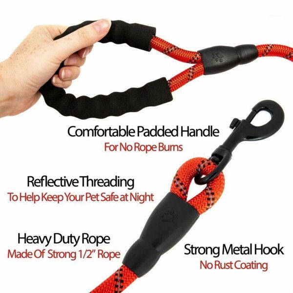 dog collars & leashes pet nylon rope leash slip lead strap adjustable traction collar training p1
dog collars & leashes pet nylon rope leash slip lead strap adjustable traction collar training p1