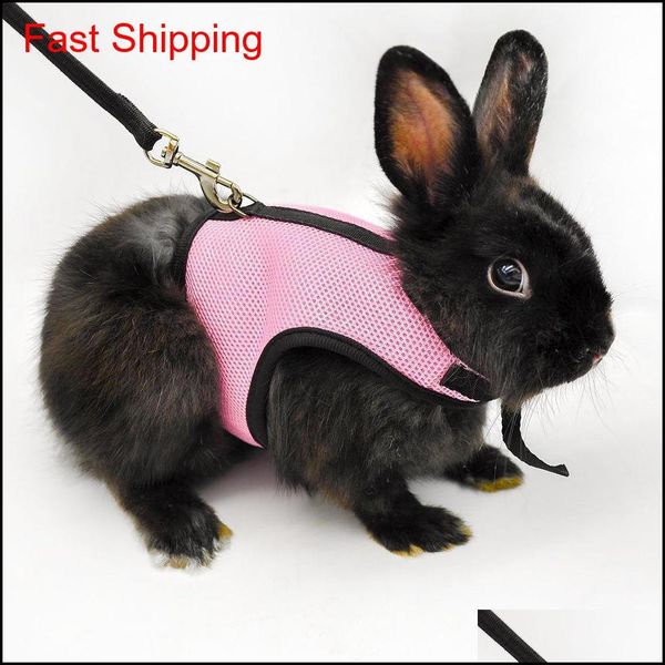 small pet harness leashes soft breathable harness leash lead for hamster rabbit guinea p qylbfs toys2010
small pet harness leashes soft breathable harness leash lead for hamster rabbit guinea p qylbfs toys2010
