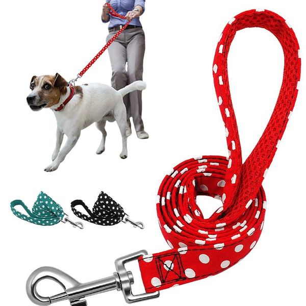 pet walking dog leash lead for small medium dogs cats polka dot puppy training running leashes leads outdoor rope b bbyxhp
pet walking dog leash lead for small medium dogs cats polka dot puppy training running leashes leads outdoor rope b bbyxhp