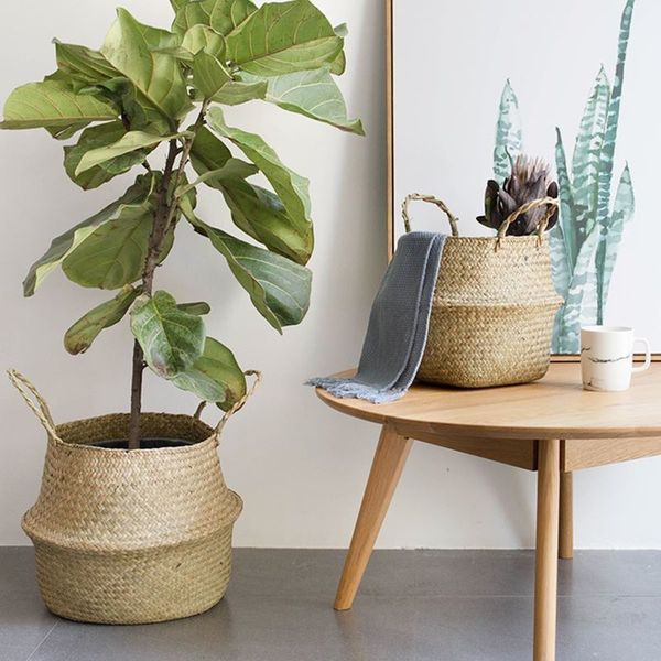 a-garden plant flower pots 2pcs /set floor nursery bonsai laundry storage basket organizer home balcony decor supplies
a-garden plant flower pots 2pcs /set floor nursery bonsai laundry storage basket organizer home balcony decor supplies