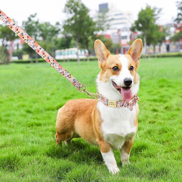nylon printed dog leash pet puppy cat leash walking training leashes lead for small medium dogs cats leashes strap b bbygxj
nylon printed dog leash pet puppy cat leash walking training leashes lead for small medium dogs cats leashes strap b bbygxj