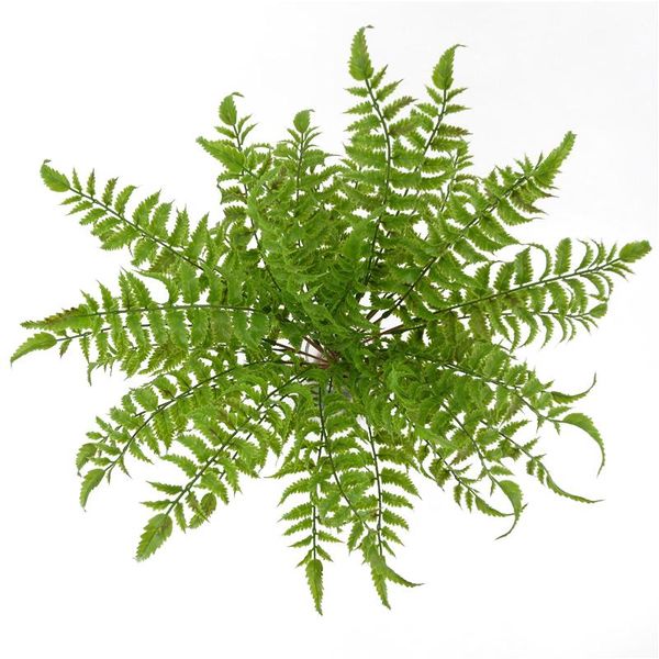 decorative flowers & wreaths artificial green 17 bunch fern leaves persian grass fake plants wall hanging plastic leaf bonsai home wedding d
decorative flowers & wreaths artificial green 17 bunch fern leaves persian grass fake plants wall hanging plastic leaf bonsai home wedding d