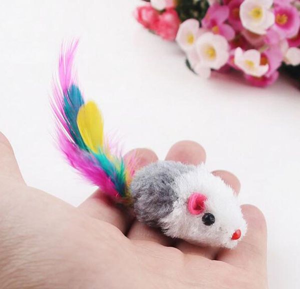 10pcs funny soft fleece false mouse cat toys colorful feather playing kitten t bbyfik lg2010
10pcs funny soft fleece false mouse cat toys colorful feather playing kitten t bbyfik lg2010