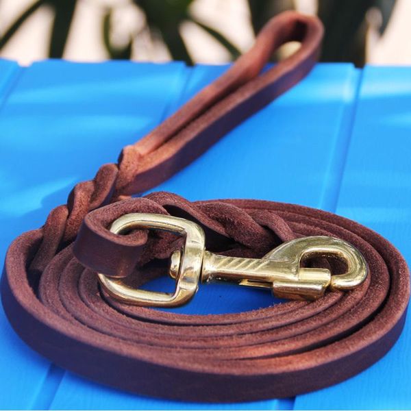 dog leather leash 
dog leather leash