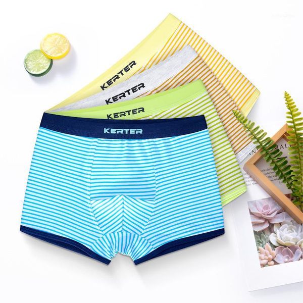 panties 2pcs children's underwear for kids shorts soft cotton boys underpants teenage striped 3-16t1, Camo
panties 2pcs children's underwear for kids shorts soft cotton boys underpants teenage striped 3-16t1, Camo