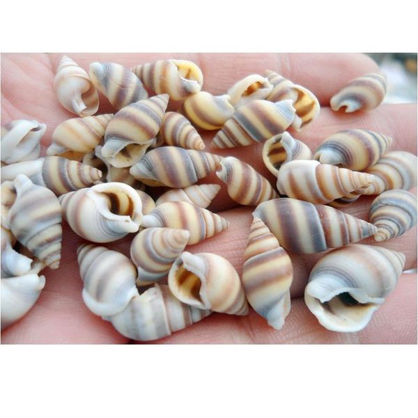 happykiss 100pcs natural ornament conch shells cat's eye screw diy mediterranean home decoration aquariu jlllxo
happykiss 100pcs natural ornament conch shells cat's eye screw diy mediterranean home decoration aquariu jlllxo