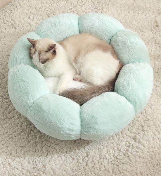 cat beds & furniture the pet nest four seasons general round dog flower winter warm plush
cat beds & furniture the pet nest four seasons general round dog flower winter warm plush