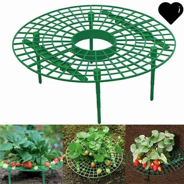 strawberry stand frame holder balcony planting rack fruit support plant flower climbing vine pillar gardening stand jk2003 73 g2
strawberry stand frame holder balcony planting rack fruit support plant flower climbing vine pillar gardening stand jk2003 73 g2