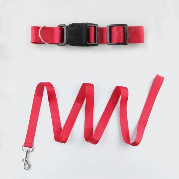dog collars & leashes dogs pets collar leash seat belt cat pet for small medium puppy accessories lc01141
dog collars & leashes dogs pets collar leash seat belt cat pet for small medium puppy accessories lc01141