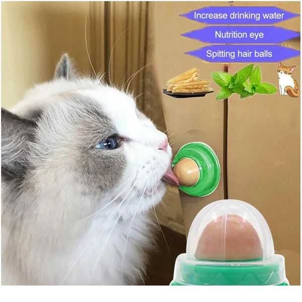 healthy nutrition pet snacks fixed cat nutrition candy cat healthy snack ball catnip nutrition gel energy ball bbyjba
healthy nutrition pet snacks fixed cat nutrition candy cat healthy snack ball catnip nutrition gel energy ball bbyjba