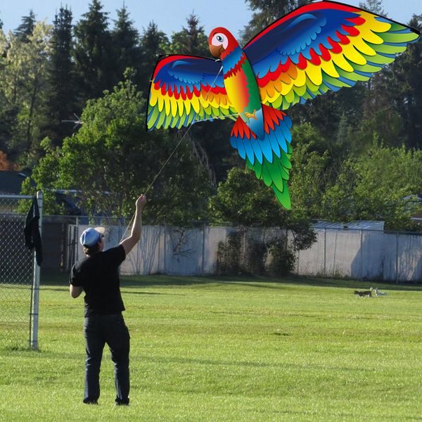 3d p-arrot kite flying kids toy children fun outdoor flying activity game with tail toys for kids kites for adults xmas gifts q1118
3d p-arrot kite flying kids toy children fun outdoor flying activity game with tail toys for kids kites for adults xmas gifts q1118