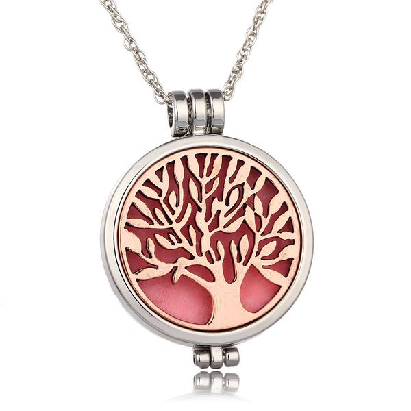 life essential diffuser necklace aromatherapy of tree oil locket pendant 316l stainless steel jewelry with 24\adzv
life essential diffuser necklace aromatherapy of tree oil locket pendant 316l stainless steel jewelry with 24\adzv