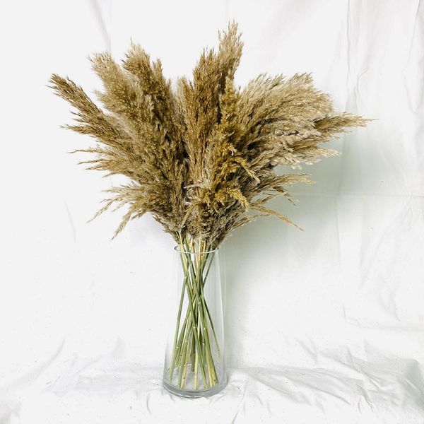 pampas grass thinker dried pampas grass bouquet wedding decor dried flowers christmas decor home decorative artificial flowers fluffy reed
pampas grass thinker dried pampas grass bouquet wedding decor dried flowers christmas decor home decorative artificial flowers fluffy reed