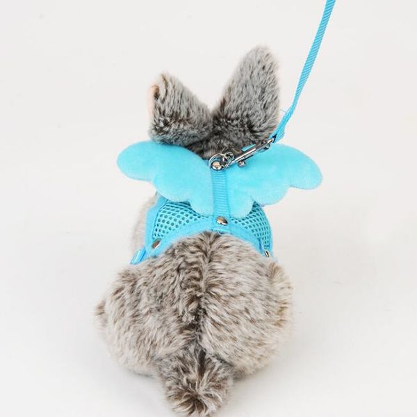 bunny wings design cute rabbit traction angel hamster rabbit vest harness with leash lead
bunny wings design cute rabbit traction angel hamster rabbit vest harness with leash lead
