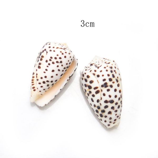 2pcs 2 5cm natural conch mini conch spotted corn shells specimen diy aquarium landscape seashells crafts nautical home decor h wmtwpw
2pcs 2 5cm natural conch mini conch spotted corn shells specimen diy aquarium landscape seashells crafts nautical home decor h wmtwpw