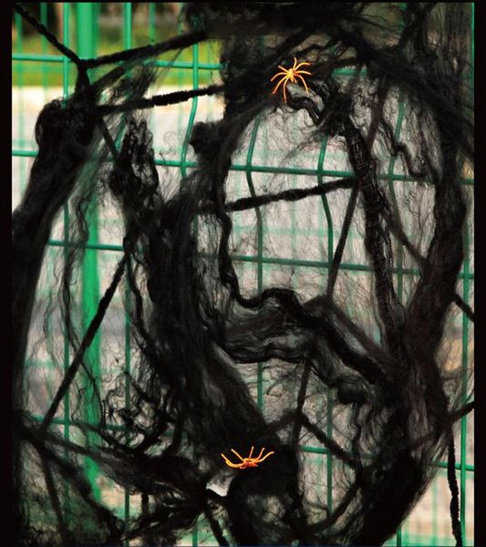 zljq halloween props halloween decoration for bar haunted house horror spider halloween decoration zljq props sqckzu pingtoy 
zljq halloween props halloween decoration for bar haunted house horror spider halloween decoration zljq props sqckzu pingtoy