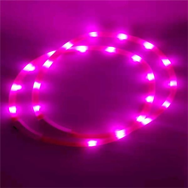 dogs collars led rechargeable usb adjustable flashing night plastic solid necklace for night running walk around
dogs collars led rechargeable usb adjustable flashing night plastic solid necklace for night running walk around