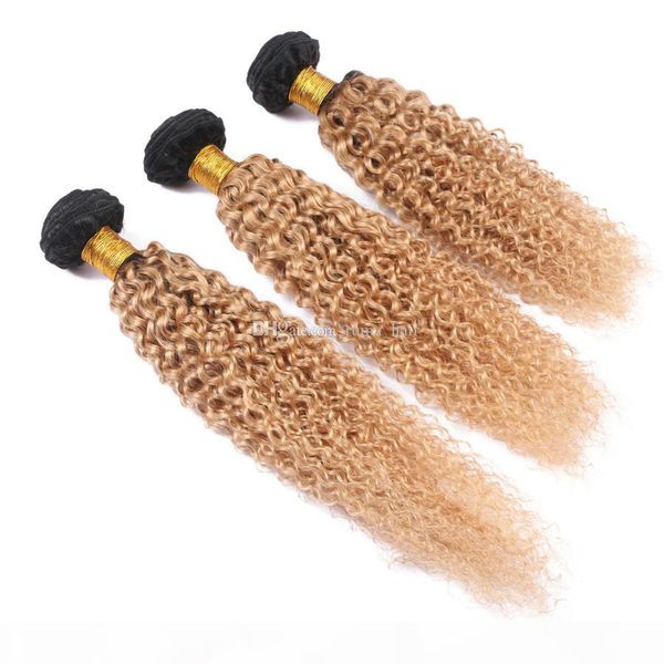 two tone 1b 27 honey blonde ombre kinky curly hair extension 3pcs lot afro kinky curl brazilian virgin human hair weaves wedding hair, Black;brown
two tone 1b 27 honey blonde ombre kinky curly hair extension 3pcs lot afro kinky curl brazilian virgin human hair weaves wedding hair, Black;brown