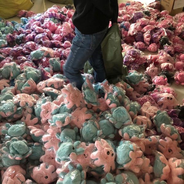 двусторонняя восьминога плюшевая набитая кукла игрушка разные стороны, чтобы показать различные настроения мягкие моделирования осьминога пл
двусторонняя восьминога плюшевая набитая кукла игрушка разные стороны, чтобы показать различные настроения мягкие моделирования осьминога пл