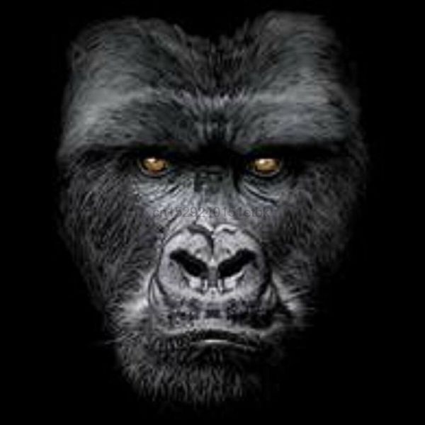 majestic gorilla pick your size youth medium 6 x large hoodie designers t shirts sweatshirt
majestic gorilla pick your size youth medium 6 x large hoodie designers t shirts sweatshirt
