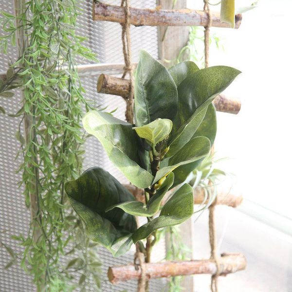 artificial green magnolia leaves plant branches micro landscape valentine decoration leaves artificial flowers flower wall1
artificial green magnolia leaves plant branches micro landscape valentine decoration leaves artificial flowers flower wall1