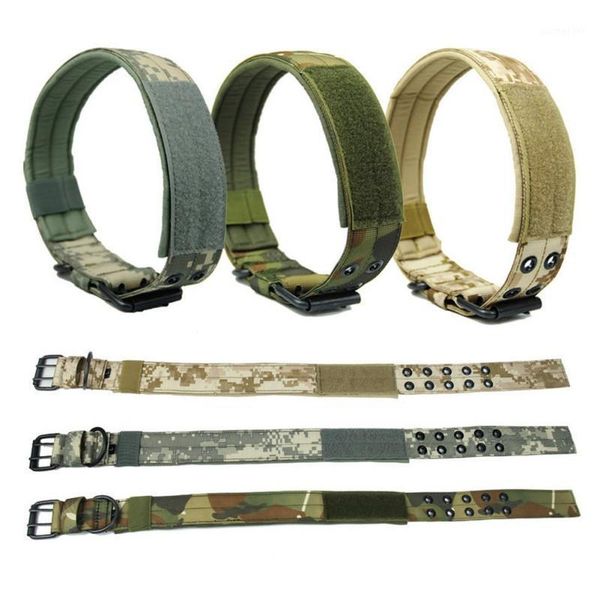 nylon wear dog traction collar outdoor tactical training collar dog with 2 rows buckle and leash ring1
nylon wear dog traction collar outdoor tactical training collar dog with 2 rows buckle and leash ring1