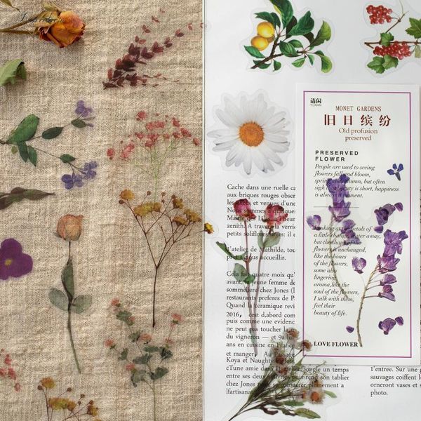 gift wrap xinaher 40pcs/bag vintage floating flowers fern leaf pet sticker decoration stickers diy diary scrapbooking label
gift wrap xinaher 40pcs/bag vintage floating flowers fern leaf pet sticker decoration stickers diy diary scrapbooking label