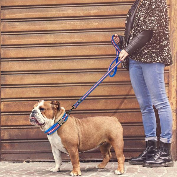 4 colors dog leash lead nylon reflective pet puppy walking lead soft padded running training leashes rope for small med bbyvuk
4 colors dog leash lead nylon reflective pet puppy walking lead soft padded running training leashes rope for small med bbyvuk