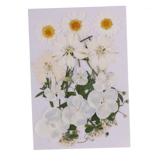 multiple mix natural pressed dried flowers leaves diy art craft for lampshades scrapbooks walls wedding invitations decoration1
multiple mix natural pressed dried flowers leaves diy art craft for lampshades scrapbooks walls wedding invitations decoration1