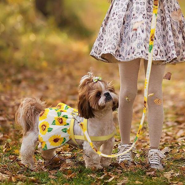small puppy dog cat clothes harness leash adjustable floral printed pet harness vest dress for small medium dogs cats c wmttmu
small puppy dog cat clothes harness leash adjustable floral printed pet harness vest dress for small medium dogs cats c wmttmu