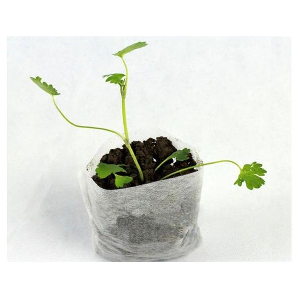 100pc-pack flower plant organic vegetable seed germinate seedling sprout cutting clone grow pot non-woven fab wmtfri homes2007
100pc-pack flower plant organic vegetable seed germinate seedling sprout cutting clone grow pot non-woven fab wmtfri homes2007