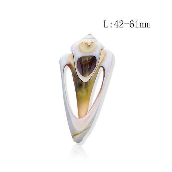 5pcs 42 61mm natural shell conch decor diy jewelry pendants accessories specimen home decoration seashells for jewelry making h sqcvsd
5pcs 42 61mm natural shell conch decor diy jewelry pendants accessories specimen home decoration seashells for jewelry making h sqcvsd