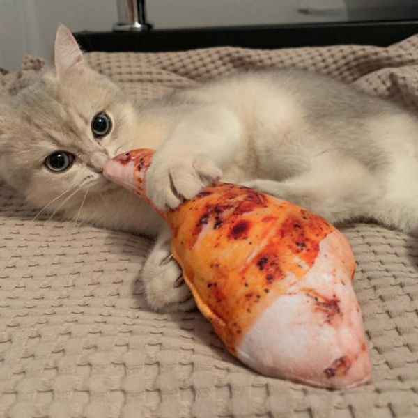 cat toys funny interactive pet toy chew catnip for cats supplies kitty kedi accessories chats produits pour animaux de compagnie
cat toys funny interactive pet toy chew catnip for cats supplies kitty kedi accessories chats produits pour animaux de compagnie