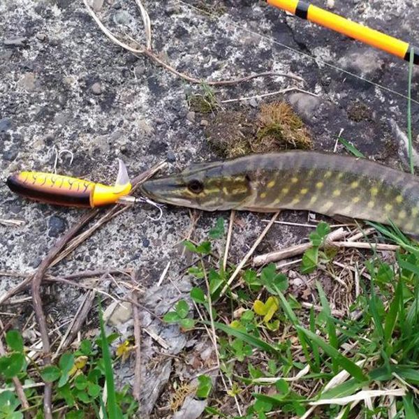 gobygo 1pcs 13g/10cm with propeller ater fishing lure artificial bait hard soft rotating tail fishing tac qylmnl
gobygo 1pcs 13g/10cm with propeller ater fishing lure artificial bait hard soft rotating tail fishing tac qylmnl