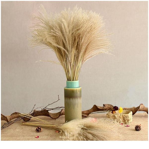 natural dried pampas grass phragmites communis for wedding dried flower bouquet home decor diy craft dry flowers de bbycvc
natural dried pampas grass phragmites communis for wedding dried flower bouquet home decor diy craft dry flowers de bbycvc