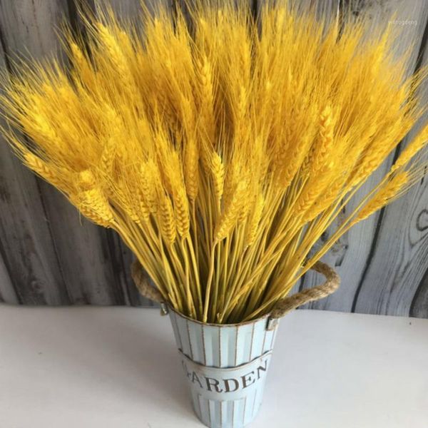 natural dried flower wheat ears bouquet for wedding party decoration diy craft home decor scrapbook wheat branch props1
natural dried flower wheat ears bouquet for wedding party decoration diy craft home decor scrapbook wheat branch props1