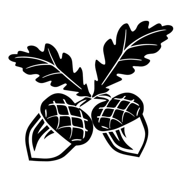 14.3x16.8cm oak tree acorn nature leaves window decals car sticker accessories c25-1323
14.3x16.8cm oak tree acorn nature leaves window decals car sticker accessories c25-1323