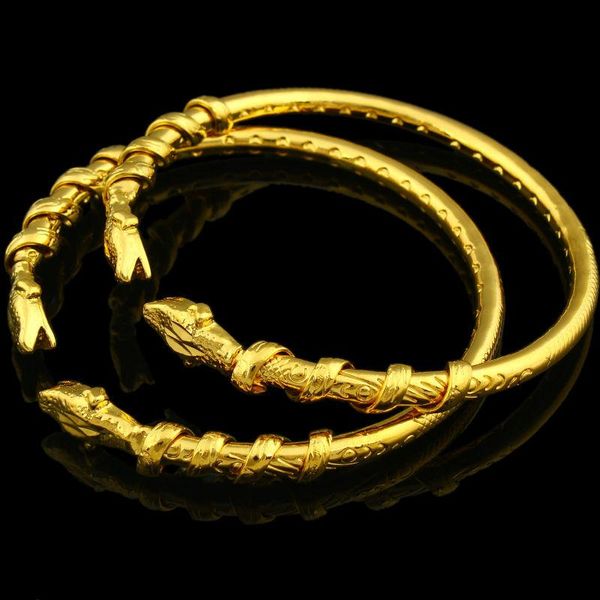 adixyn ethiopian dragon bracelet for women men gold color bangle jewelry ethiopian/usa/african animal bracelet bangles items, Black
adixyn ethiopian dragon bracelet for women men gold color bangle jewelry ethiopian/usa/african animal bracelet bangles items, Black
